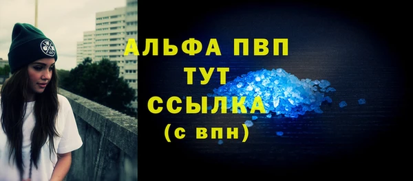 мяу мяу мука Белокуриха