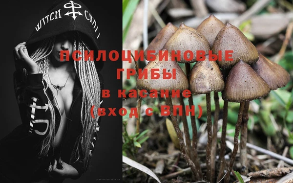 мяу мяу мука Белокуриха