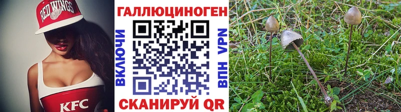 Галлюциногенные грибы Psilocybe  Покровск 